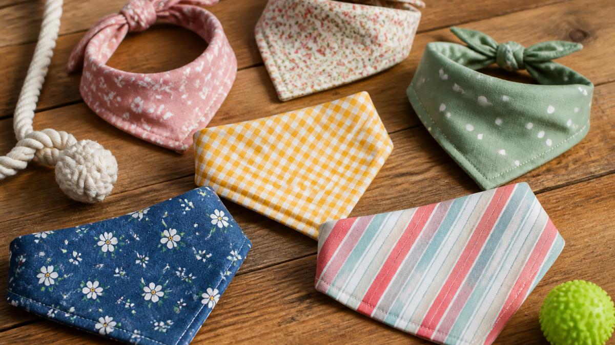 Personalized Dog Bandanas for Parties: 6 Picks